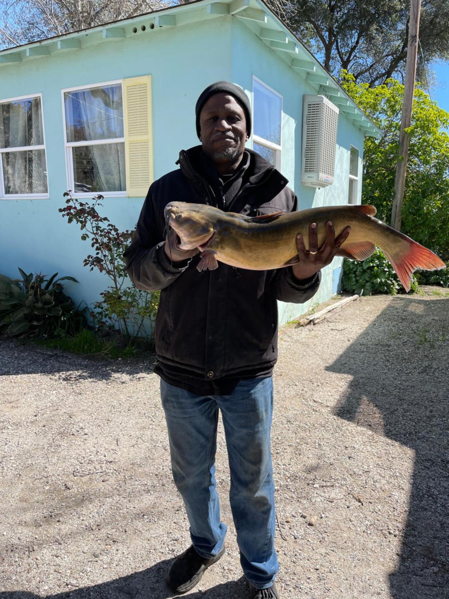 Omeo Clearlake Oaks Glenhaven Eksteriør billede